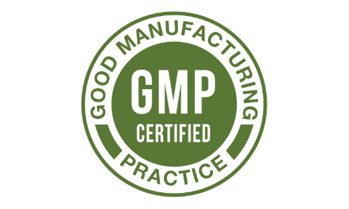 Titan Transform GMP